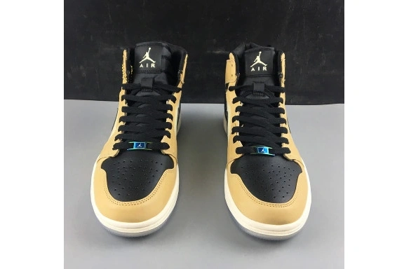 Premium Air Mushroom WMNS 1 Fossil Jordan AH7389-003 AH7389-003 High 0417